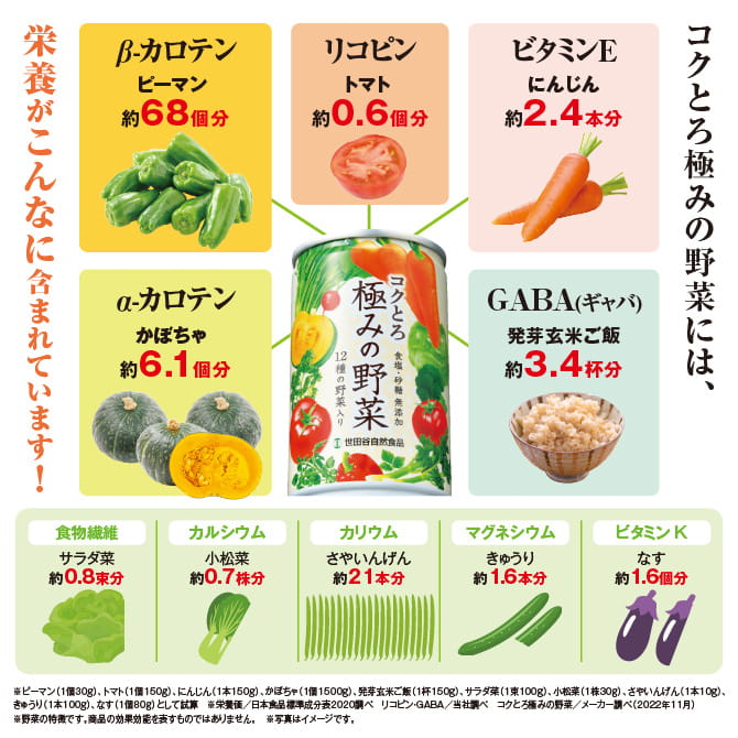 世田谷自然食品 コクとろ 極みの野菜 栄養素がたくさん含まれています！
