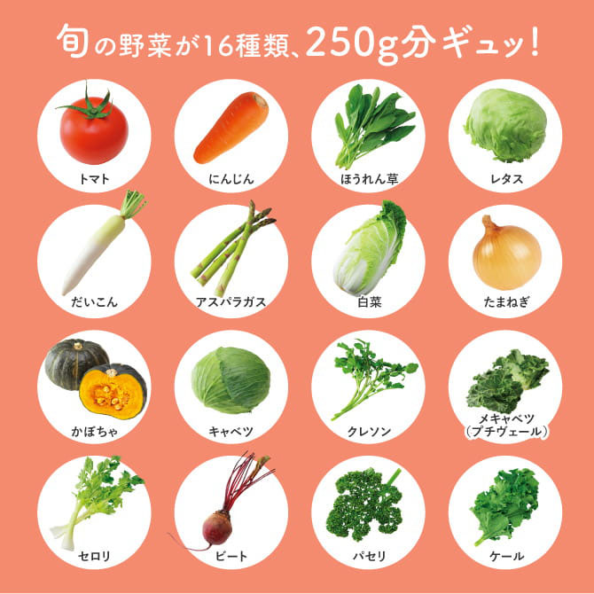 世田谷自然食品 ダブルでうれしいプレミアム野菜 旬の野菜が16種類 250g分