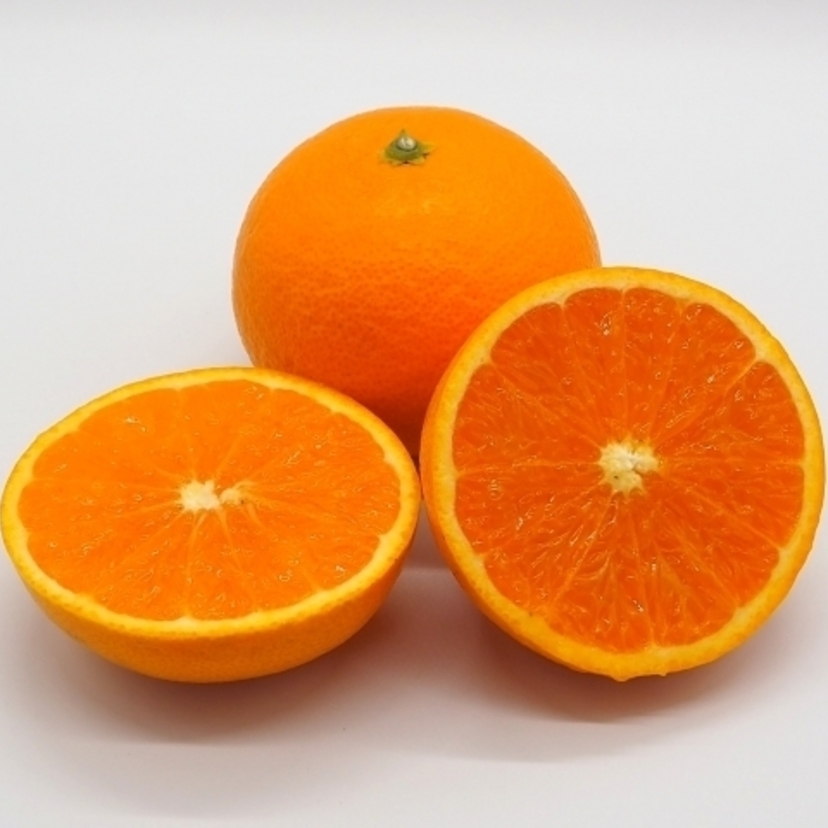 野菜の豆知識｜おいしい柑橘のキーワード「タンゴール」って知ってる？