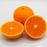 野菜の豆知識｜おいしい柑橘のキーワード「タンゴール」って知ってる？