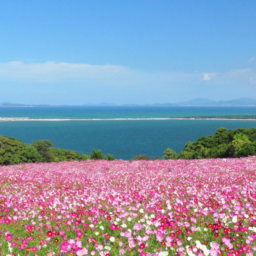散策｜能古島（福岡県）　フェリーで10分！博多湾に浮かぶリゾート島