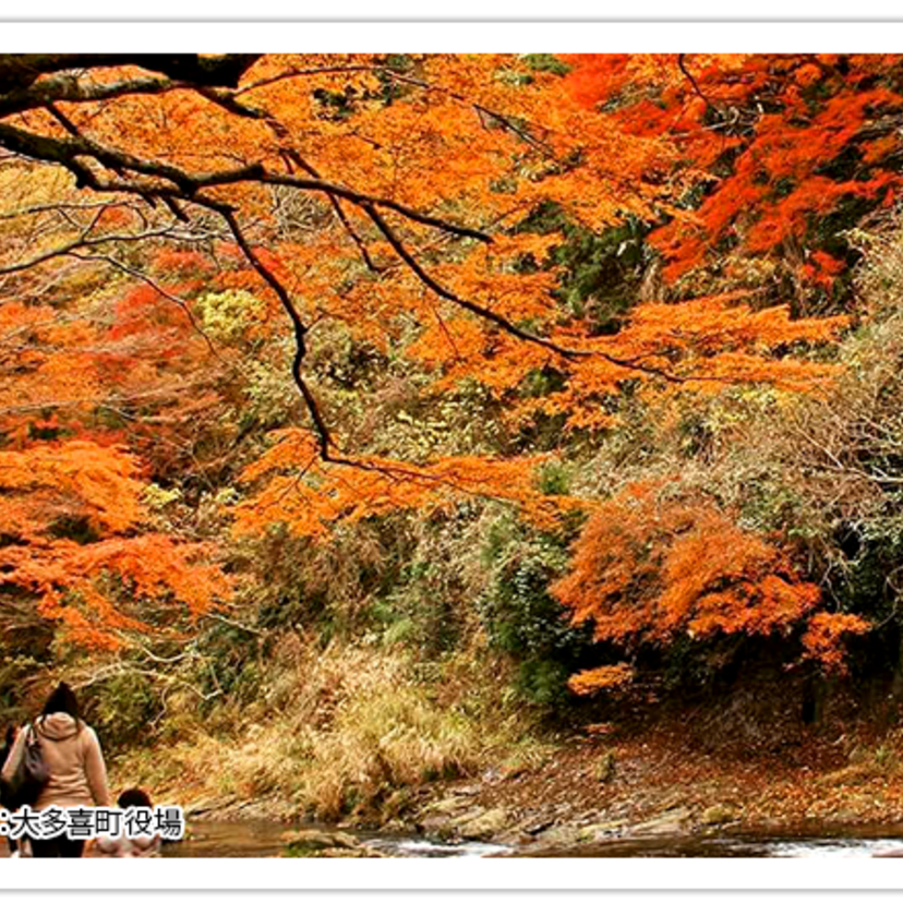 散策｜養老渓谷（千葉県）　ハイキングに温泉に、バーベキュー！行楽にぴったりの大自然