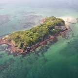 散策｜猿島(神奈川県)　都心から約1時間！ 東京湾に浮かぶ無人島
