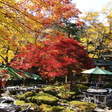 散策｜澤乃井園(東京都)　奥多摩の自然と酒蔵見学、グルメも楽しい散策スポット