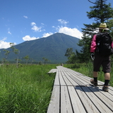 散策｜「戦場ヶ原」（栃木県日光市）足まかせ散歩道  清々しさ満点のハイキングコース