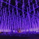 散策｜あしかがフラワーパーク(栃木県)　日本三大イルミネーション｢光の花の庭2018～フラワーファンタジー2018～｣