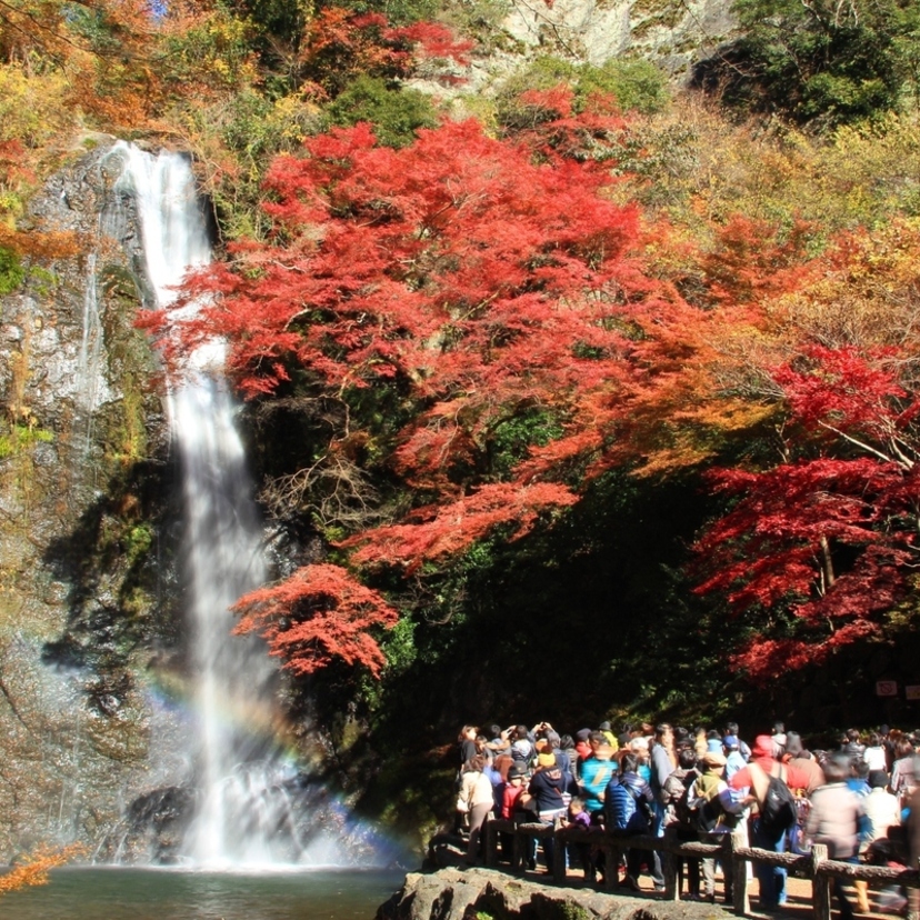 散策｜箕面大滝（大阪府） 歩きやすい散策路で大自然を堪能