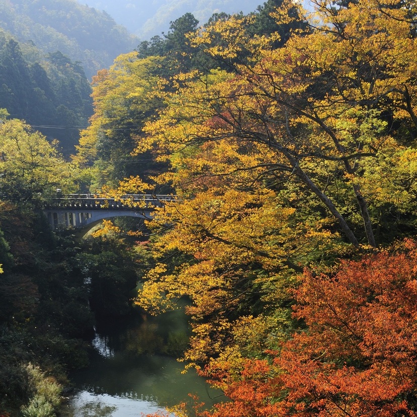 散策｜加賀山中（石川県） 芭蕉の愛したゆかりの温泉地を訪ねる