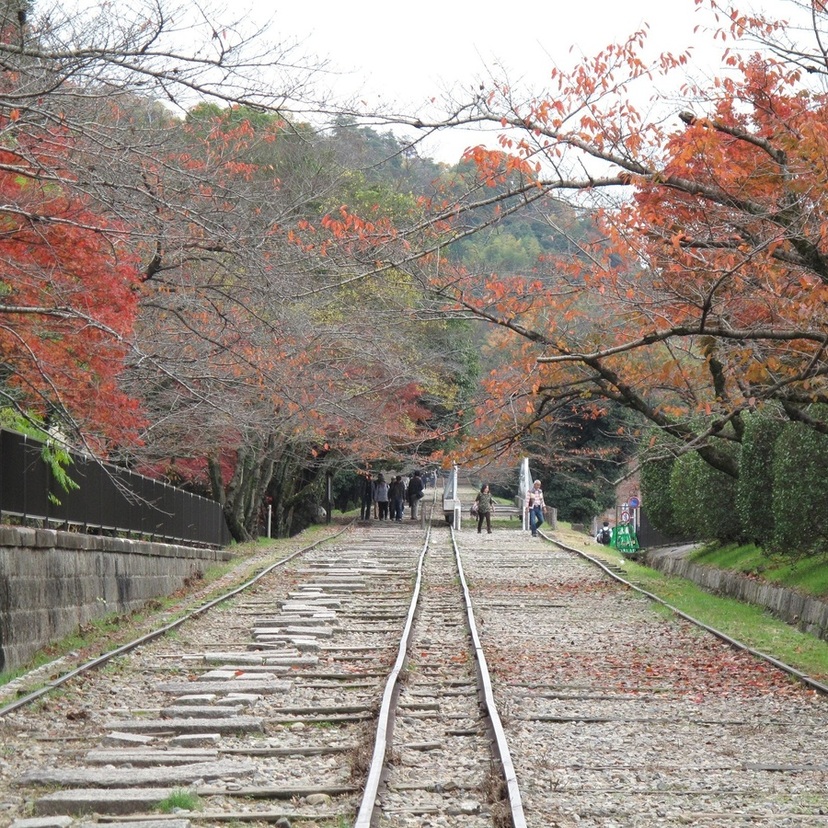 散策｜蹴上インクライン(京都府)　傾斜鉄道跡をのんびり歩いて自然散策