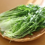 健康メニュー｜水菜(京菜)　鍋料理の定番は栄養も豊富