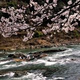 散策｜美しい京都の渓谷美を満喫。歴史ある川下り「保津川下り」(京都府)