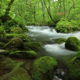 散策｜美しい渓流や苔に癒やされる川沿い散策「奥入瀬渓流」(青森県)
