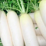 野菜の豆知識：「大根」捨てるところなし、部位ごとのおいしい食べ方