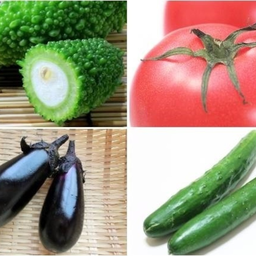 健康メニュー｜夏野菜を食べよう！ 栄養＆おすすめの食べ方