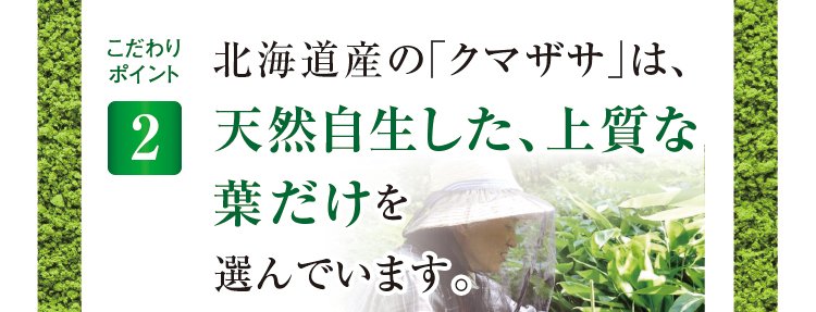 こだわりポイント2 北海道産の「クマザサ」は天然自生した、上質な葉だけを選んでいます。