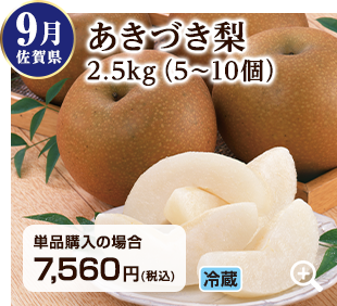 旬のフルーツ定期便 9月 岡山県のニューピオーネ1.1kg(2~3房) 詳細はこちら