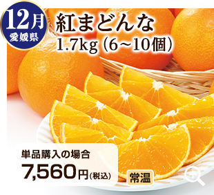 旬のフルーツ定期便 12月 愛媛県の紅まどんな1.7kg(6~10個) 詳細はこちら