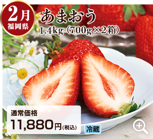 旬のフルーツ定期便 2月 静岡県の紅ほっぺ2kg(250gが8パック) 詳細はこちら