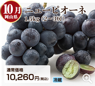 旬のフルーツ定期便 10月 岡山県のニューピオーネ1.5kg(2~3房) 詳細はこちら