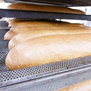職人がラスク専用に焼き上げたフランスパンを使用したラスクセレクトセット
